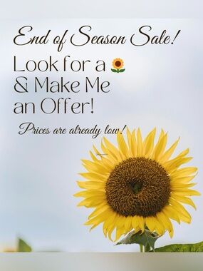 Sunflower Print Wall Art - Yellow